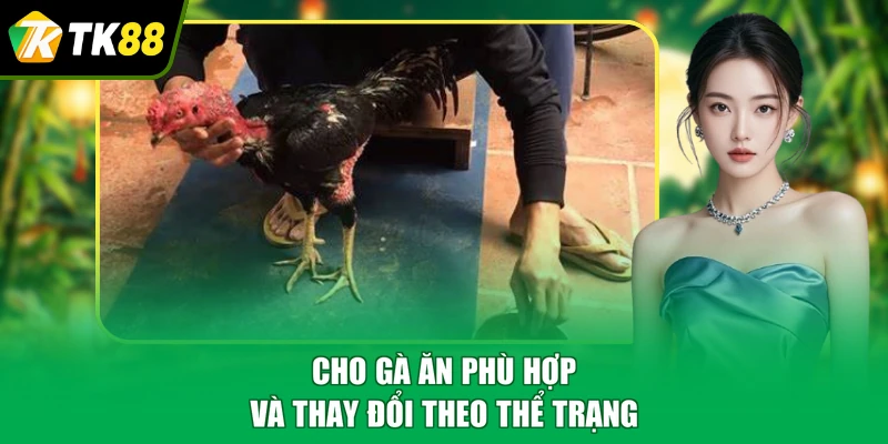 Cho gà ăn phù hợp và thay đổi theo thể trạng