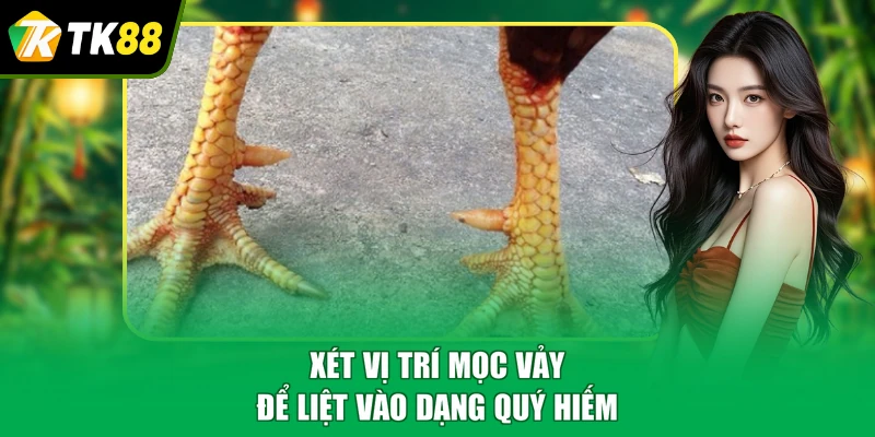 Xét vị trí mọc vảy để liệt vào dạng quý hiếm